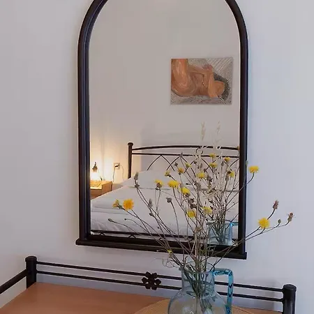 Family- House In Chora, *